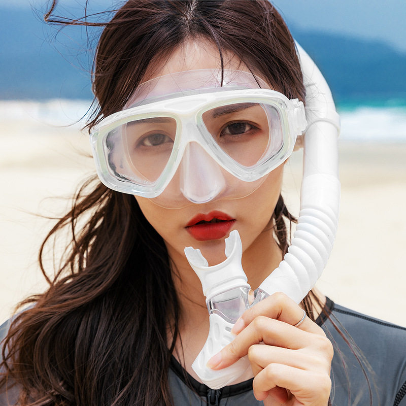 浮潜三宝潜水面罩近视潜水镜全干式呼吸管套装成人男女士浮潜装备