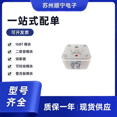 170M6462  170M6463  170M6464  170M6465熔断器保险丝 全新原装