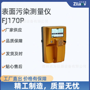 FJ170α表面沾污仪 170核素表面污染仪 FJ170P表面污染测量仪
