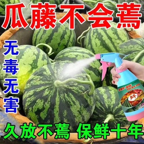 水果蔬菜保鲜剂食品延长储存专用防腐烂防焉专用杀菌剂喷洒浸泡液