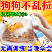 狗狗定点上厕所神器排便诱导剂狗厕所尿垫专用引导宠物上厕所神器