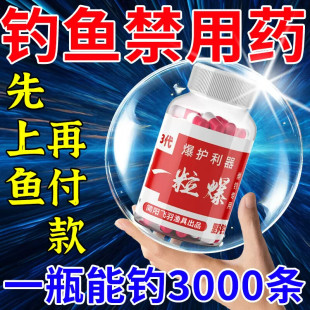 钓鱼小药超强诱鱼粉一粒爆鱼饵饵料一管胶囊专用鲤鲫鱼诱食添加剂