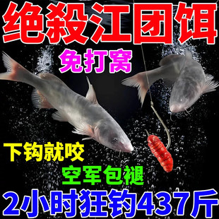 江团饵料钓江团鱼清江叉尾鱼鲶鱼专用鱼饵窝料黑坑野钓诱鱼开口剂