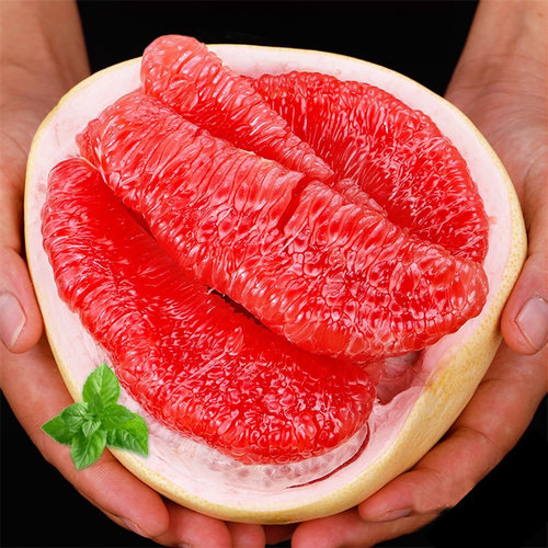 50斤特惠装/梅州三红心肉蜜柚1柚子大果中秋送礼盒装孕妇水果团购