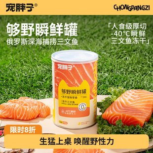 宠胖子冻干带皮三文鱼磨牙发腮狗狗猫咪营养伴粮宠物训练奖励零食