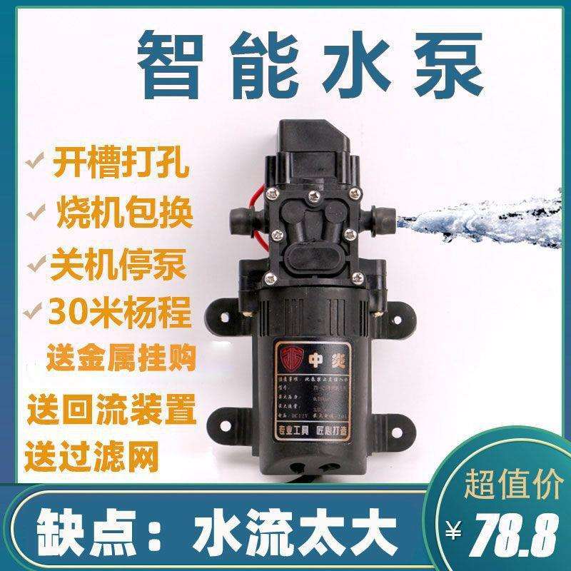 开槽机水泵220v联动全自动专用12吸水抽水神器直流潜水泵无垒德株