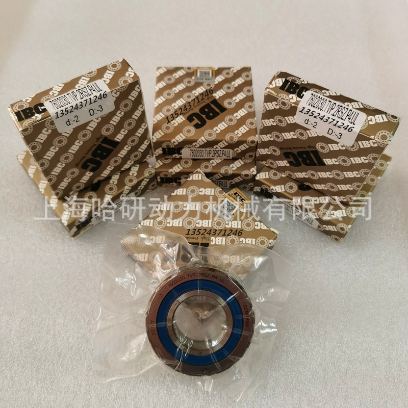 德国IBC原装精密P4轴承