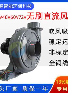 直叶式48V直流鼓风机CAN/485控制2.2KW清扫车吸树叶杂草中压风机