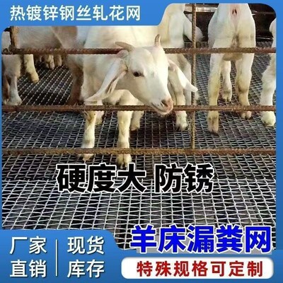羊床漏粪网养羊鸡鸭鹅漏粪网底养殖围栏网热浸镀锌编织羊床钢丝网