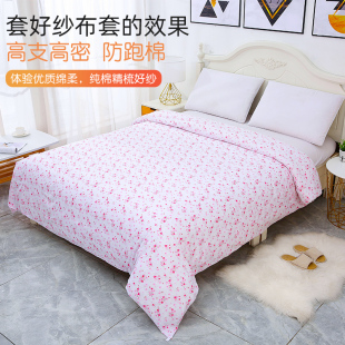 包棉花被子纱布套全棉胎被套褥子垫被棉絮内胆套被芯被罩单件