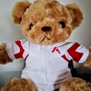 人大附中校服熊羊驼穿衣熊定制(也可定制其他学校公司的熊)