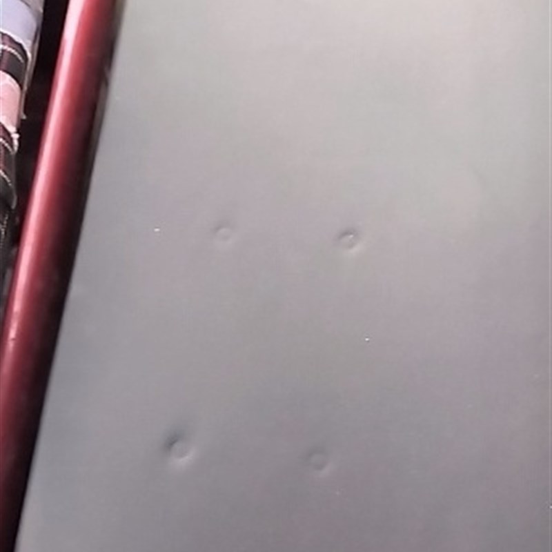 电动三轮车坐垫配件m座板座椅通用型防水防晒加厚减震舒适柔软耐