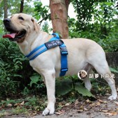 织带加宽加厚 拉布拉多金毛中P大型犬狗链狗牵引 防爆冲狗胸背带