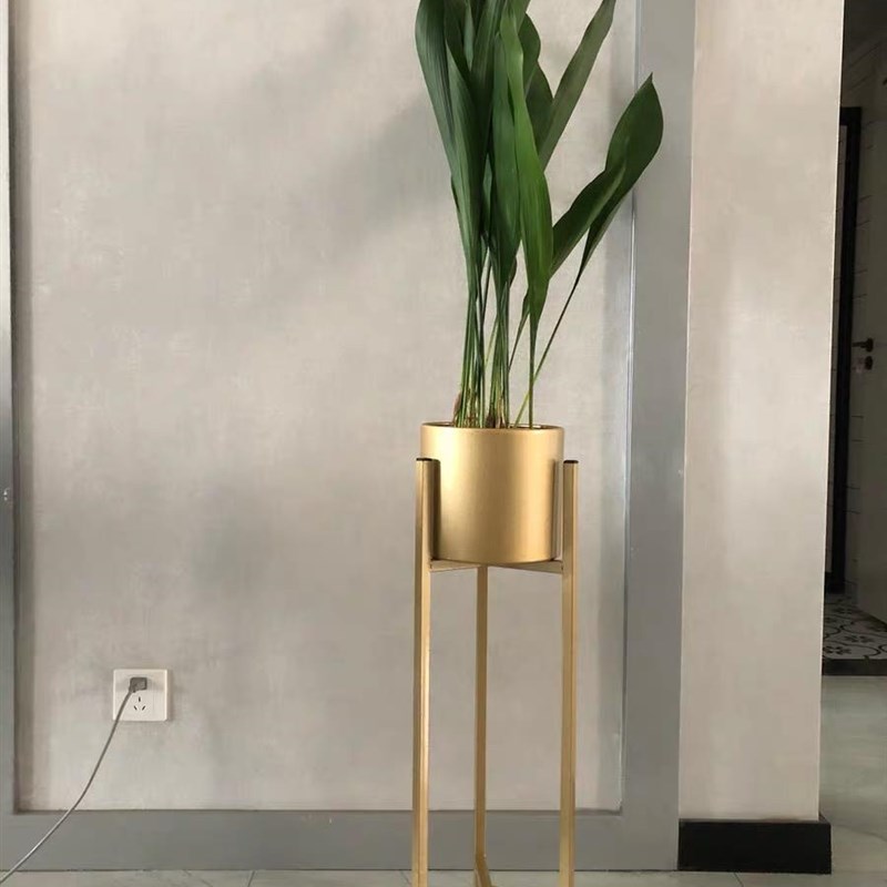一叶兰盆栽植物室内客p厅大叶观叶绿植四季常青耐寒净化空气吸甲
