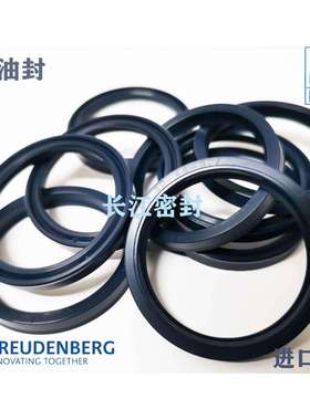 UDN-110-125-12 德国MERKLE CFW 蓝色油封 进口Y型圈 油缸密封件