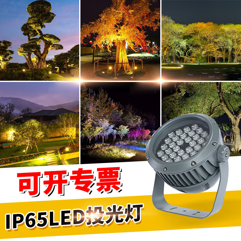 LED户外防水庭院照树投光灯