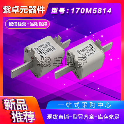 170M4866D/4867D/5814D/5820D/5816D/5817D伊顿巴斯曼快速熔断器