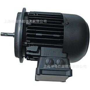 110 1K5 WEISHAUPT威索电机 D90 G20 风机马达
