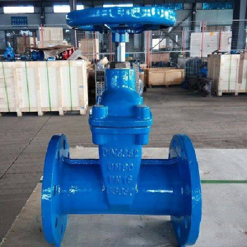 Z45X-16Q球墨铸铁软密封闸阀Z41X-16Q图片