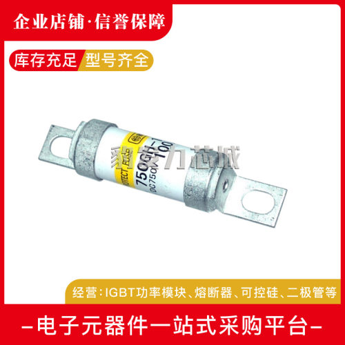750GH-250UL 750GH-200UL 750GH-160UL 快速熔断器 保险丝 断路器