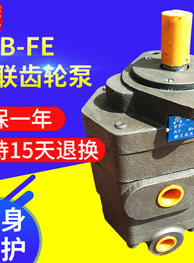 直供兰考吊车专用双联齿轮泵2CB-FE40（32/20E-F1/4L11/12-2/3L）