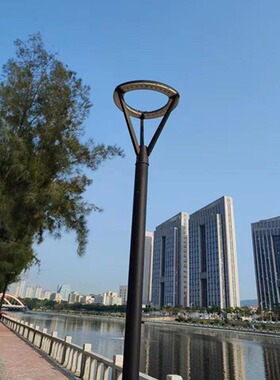 LED庭院灯杆报价40W60W4米大小杆生产厂家直销路灯圆形灯头景观灯