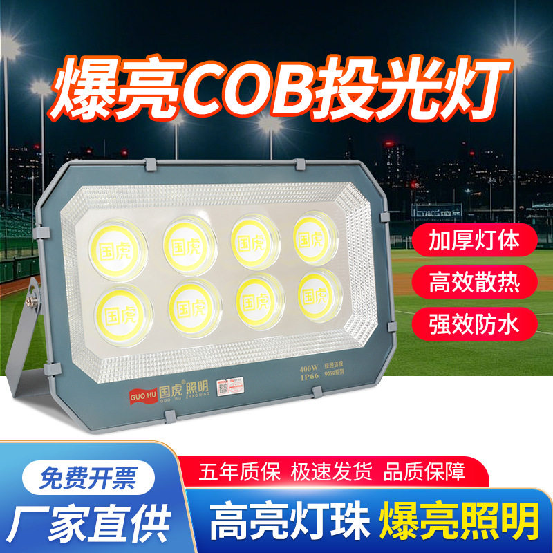 国虎LED投光灯防眩目磨砂玻璃球场灯广场体育馆室外车间照明射灯