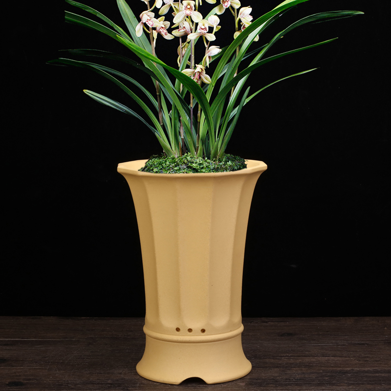 紫砂兰花盆专用创意个性透气桌面绿植盆景盆君子兰吊兰蝴蝶兰包邮