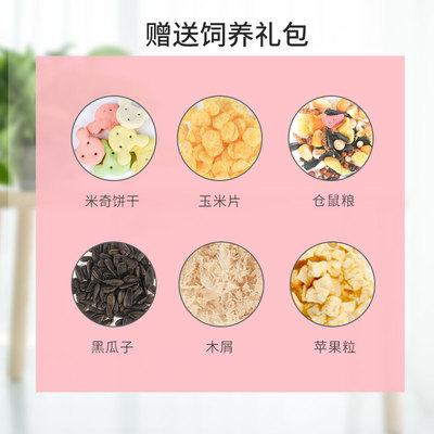 仓鼠笼36基础笼小鼠笼豪华城堡笼金丝熊用品套餐别墅玩具