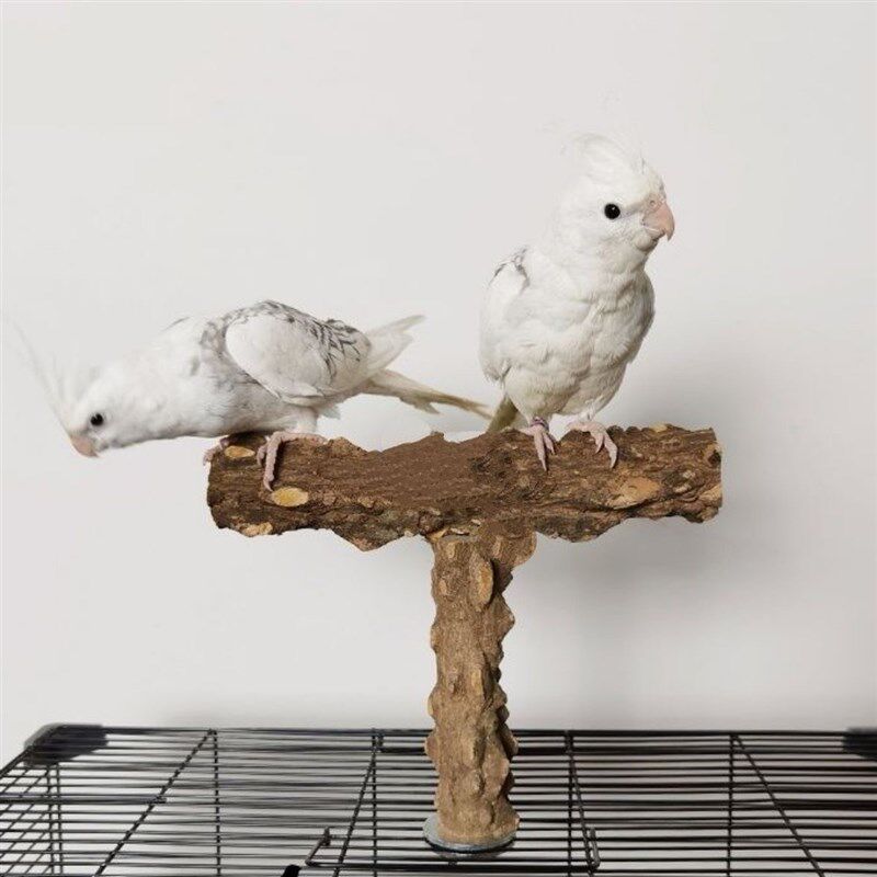 鸟笼多功能T形站杆野生花椒木树枝站杆站棒磨爪棒杆鸟笼顶站杆