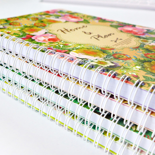 理财本家计簿家庭收支薄环装记账本懒人家用厚账册帐本a5记录本