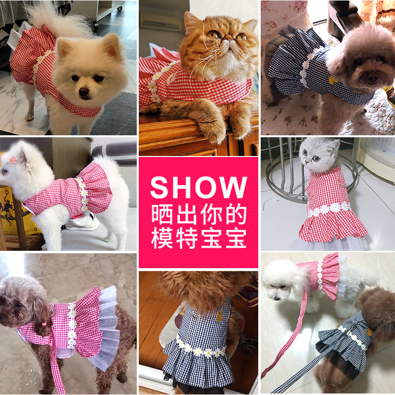 狗狗牵引绳胸背带泰迪比熊小型犬套装公主宠物猫咪格子衣服遛狗绳
