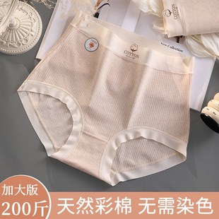 三角短裤 少女内裤 高腰10岁胖女童11发育期14岁胖MM纯棉加肥加大码