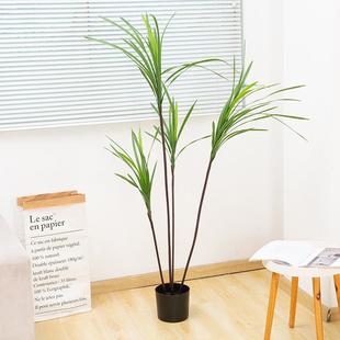 仿真花束君子兰办公室家居酒店摆台布景假花仿真花仿真树盆栽