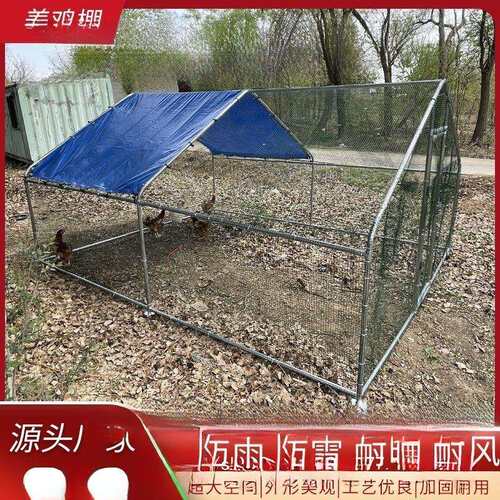 户外鸡棚超特大号鸡笼兔笼鸽笼孔雀笼防雨鸡棚鸡舍搭建组装养殖棚