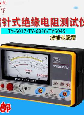 南京电子兆欧表TY6018 TY6017 TY6045绝缘电阻表测试电压