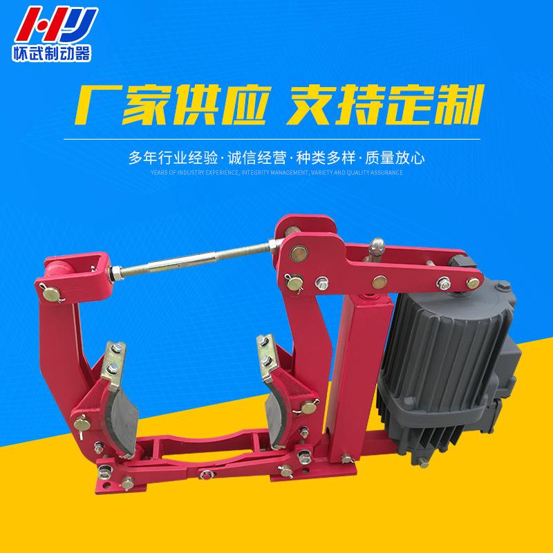 厂家现货供应YWZ9-315/E30电力液压制动器电磁线圈制动衬垫