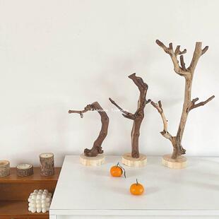 TJJ丨原木树杈摆件ins冷淡风书架客厅树枝摆设饰品摄影拍摄道具