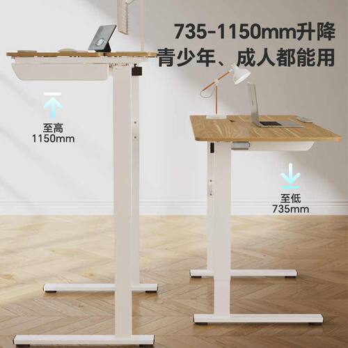 乐歌ET6原木色智能电动升降桌绘画学习桌居家办公电脑桌卧室书桌