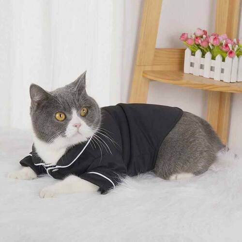 狗狗衣服批发夏季薄款两脚透气舒服法式睡衣柯基比熊宠物服饰
