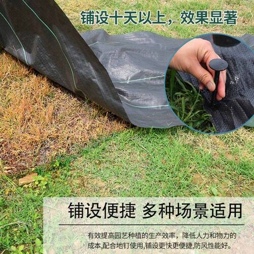 农用防草布除草布优质果园单张切片抗老化透气保湿园艺地布直销