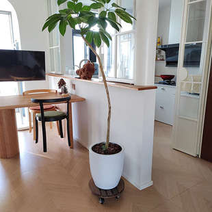 移动花盆托盘带轮实木质花盘托架圆形滚轮鱼缸底座防腐木带接水盘