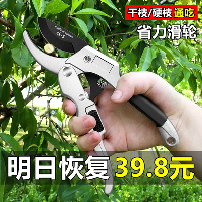 速发园艺修枝剪树枝花园花物草修剪sk5艺植枝刀钢园专用剪刀