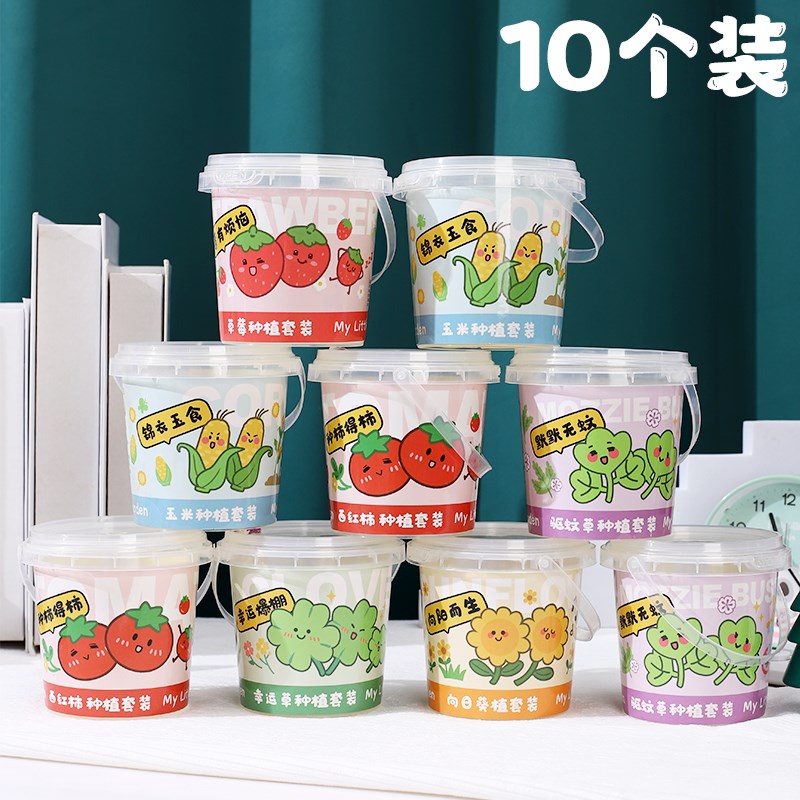 速发儿童种植小盆栽植物生长科学草察果果观莓迷你植物发芽蔬水农