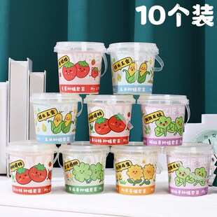 速发儿童种植小盆栽植物生长科学草察果果观莓迷你植物发芽蔬水农