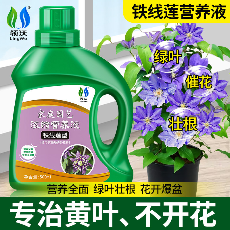 速发铁线莲营料专用花肥养液家庭台园艺室内户外肥卉植物盆栽通用