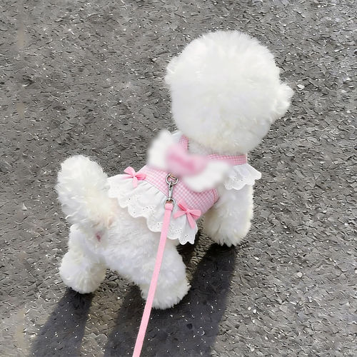 狗狗牵引绳防挣脱甜美胸背裙透气