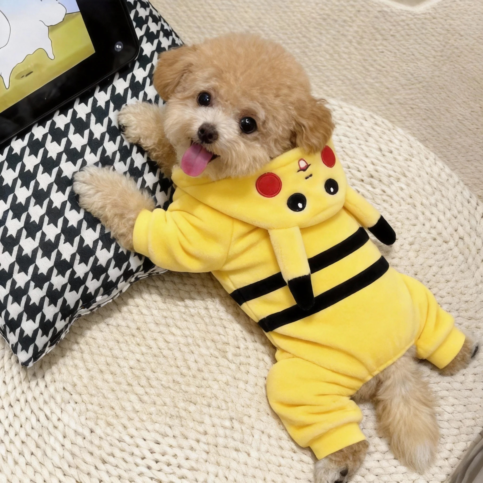 狗狗狮子变身装衣服秋冬款保暖