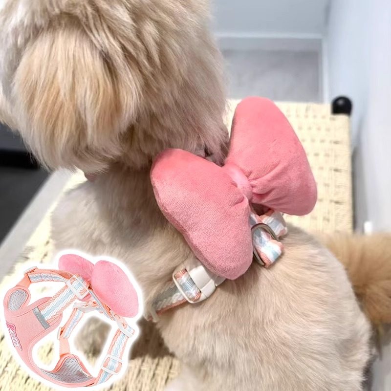 狗狗牵引绳蝴蝶结背心式猫咪胸背可爱小型犬泰迪比熊博美宠物绳子