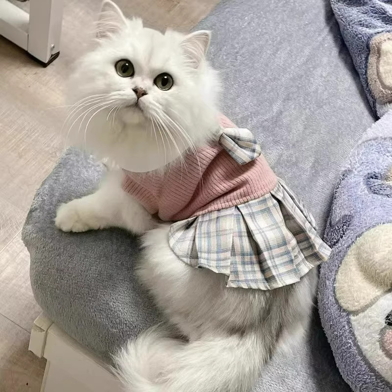 猫咪Jk学院风裙子秋冬衣服防掉毛幼猫布偶英短小猫宠物蓝猫针织裙